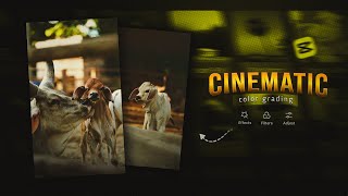 Cinematic Color Grading Like A PRO 🔥(CapCut Tutorial)