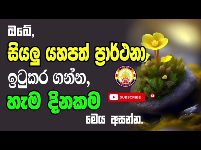 Seth Pirith | සෙත් පිරිත් | Pirith Suthura | පිරිත් සුතුර class=