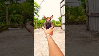 Woah 2억뷰 주인공 아라 맞습니다.(원본) #woah #woahchallenge #ARA #misoara part 3