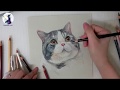 彩紅愛畫畫｜色鉛筆教學 - 貓 Drawing with Markers and Colored Pencils - cat