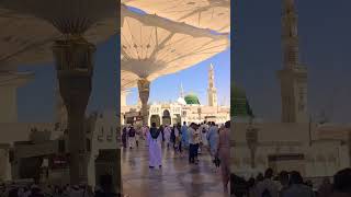 Download Lagu muhammad nabina - hamada helal - lirik dan terjemahan indonesia sholawat nabi #love MP3