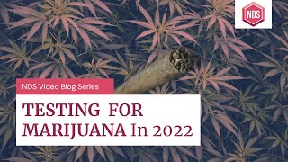 Testing For Marijuana In 2022 - Do you know your state's laws?