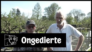 De Beste Tips Tegen Ongedierte In Je Moestuin Man Bijt Hond Xl