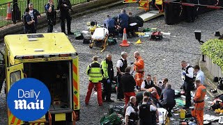 Westminster attack: Four dead, including attacker and police officer - Daily Mail