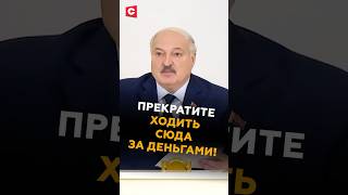 Лукашенко: Прекратите ходить сюда за деньгами! #беларусь #лукашенко #политика #новости