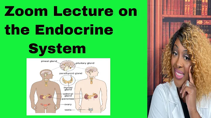 Endocrine Function in Nursing