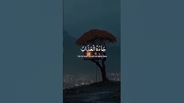 القران الكريم راحة نفسية تلاوة خاشعة حالات واتساب قران كريم 🩵💜❤️