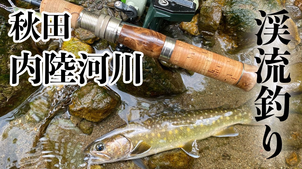 【渓流釣り】秋田内陸河川　遠征釣行