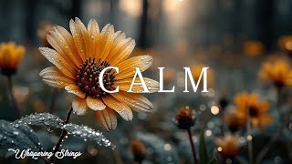 Sunrise Guitar Meditation - Calm Forest Instrumental for Deep Relaxation
