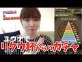 【パズドラ】ランダンリクウ杯ユウナパーティで再挑戦!からのバレンタインガチャ