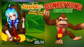 Donkey Kong Country Theme James Landino Remix