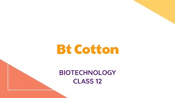 Insect Resistance in Transgenic Plants | Bt Cotton | Biotechnology