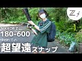 【超望遠デビュー】Z180-600mmで撮影してきました！初めての超望遠！意外と難しい・・・！600mmという新しい世界。【NikonZf】