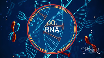 Genetics in 60 seconds: RNA