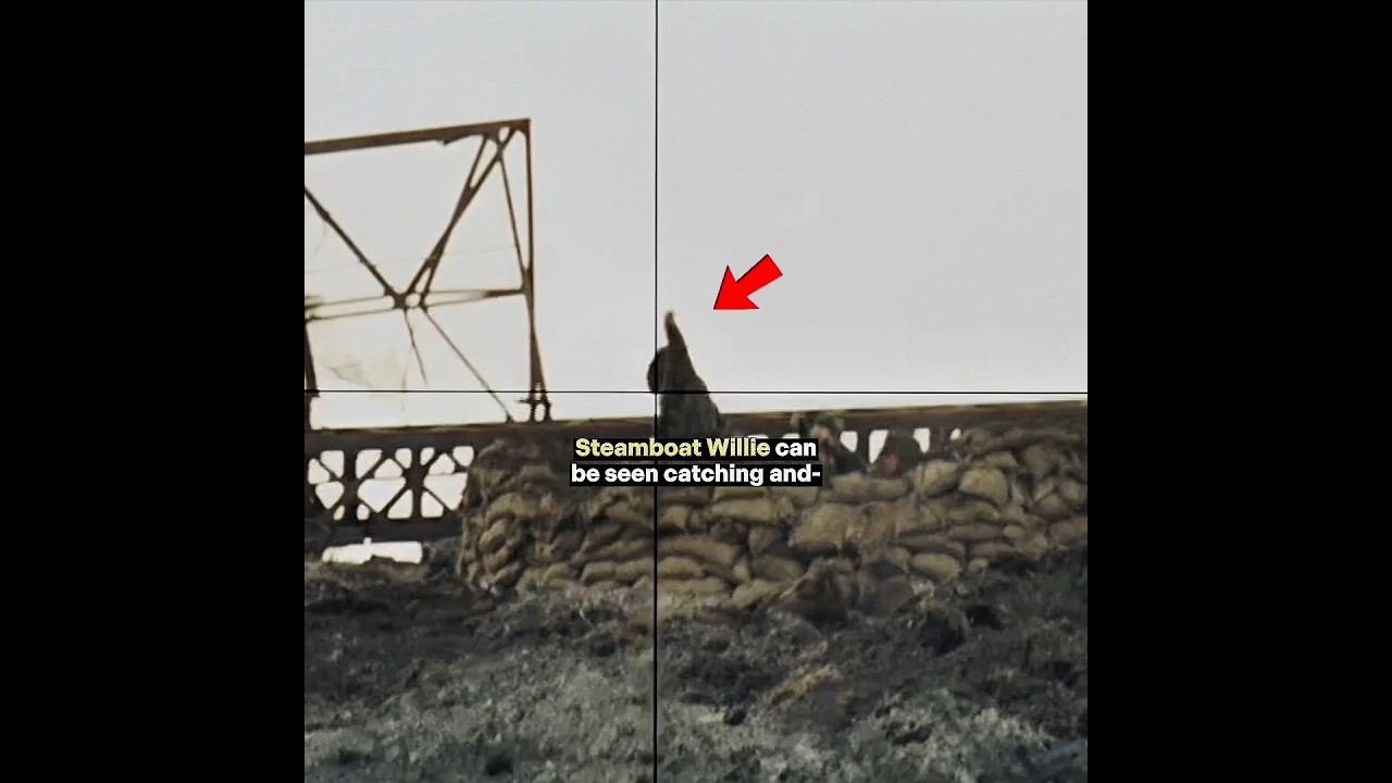 Вы больше никогда не посмотрите эту сцену из «Спасти рядового Райана» прежним взглядом — 