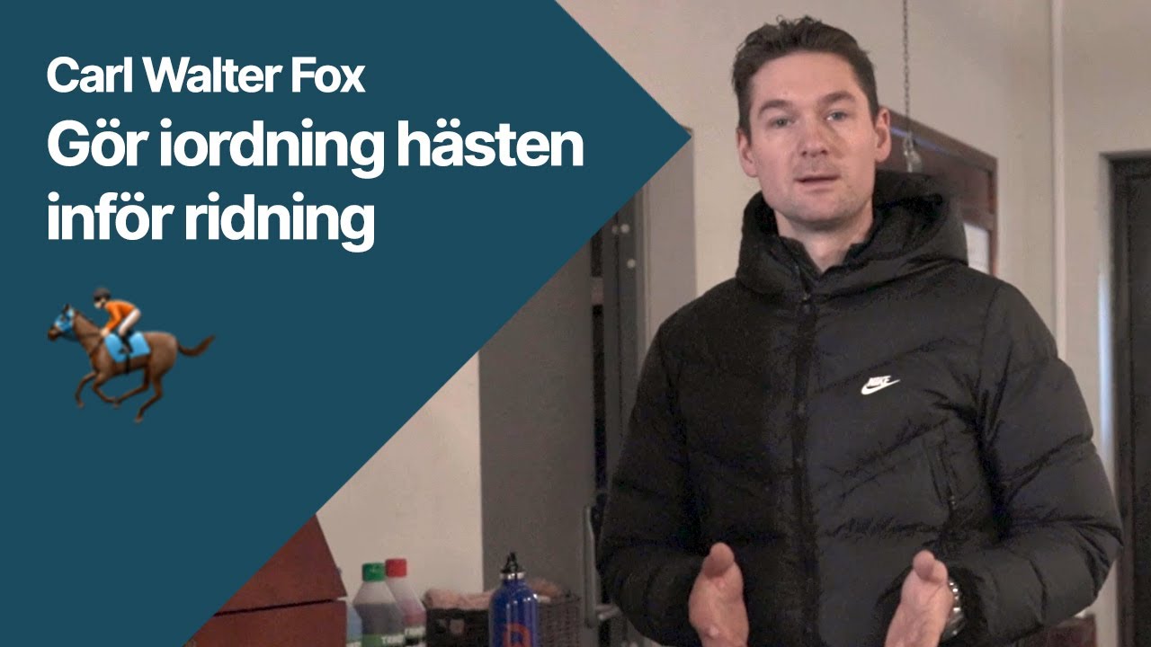 Carl Walter Fox gör iordning hästen inför ridning - YouTube