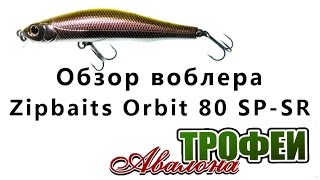 Обзор воблера Zipbaits Orbit 80 SP-SR - магазин "Трофеи Авалона"