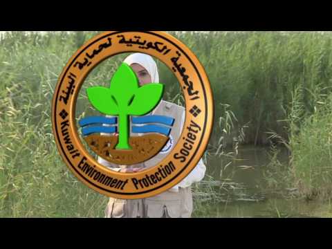 برنامج كل يوم نبتة - الحلقة الثالثة والعشرون - نبات السليح