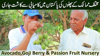 FRUITS of the World Found in PAKISTAN! | You Won't Believe 😲