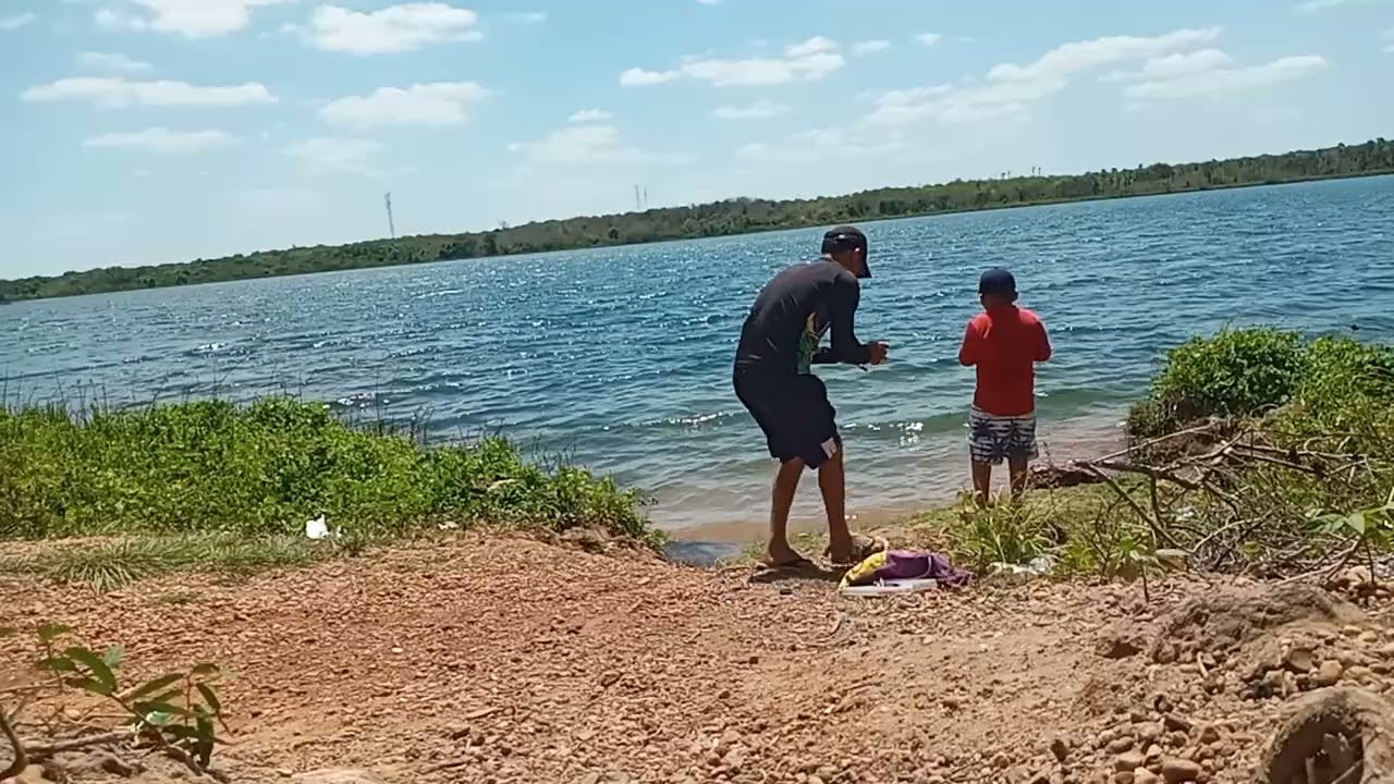 15 de novembro de 2025