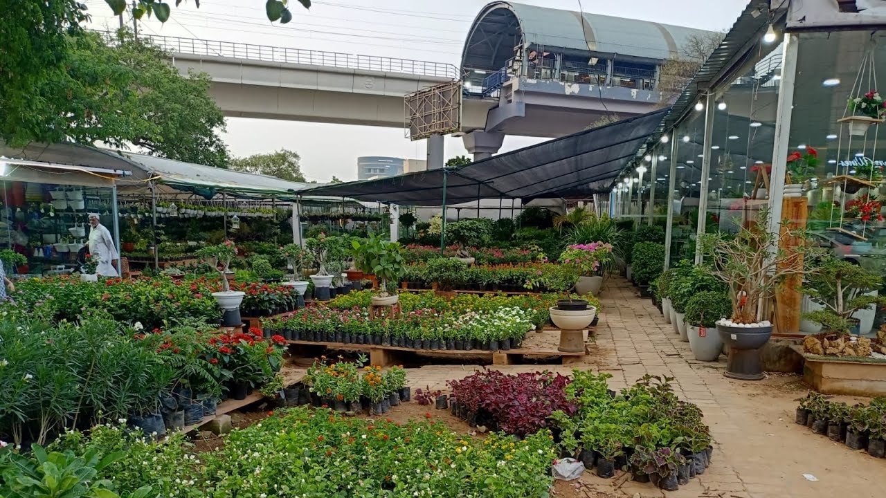 Gurgaon Nursery See what plants & pots you can get this Summers with