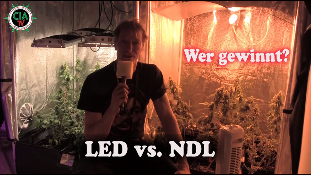Cia Tv Ermittelt Ndl Oder Led The Winner Is Youtube 