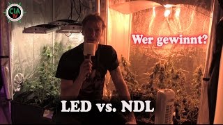 CIA-TV° ermittelt: NDL oder LED ...the WINNER is ?