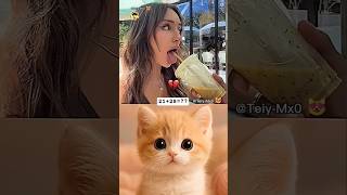 viral video New video crazy cat cute cat #subscribe #like