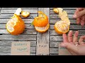 Shiranui pixie gold nugget mandarin taste comparison