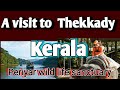 KERALA TRAVEL VLOG- Part I  Kochi, Munnar & Thekkady  Mini Choudhary
