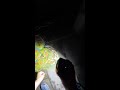 Fishing - Live Stream