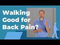 Is Walking Good for Back Pain?