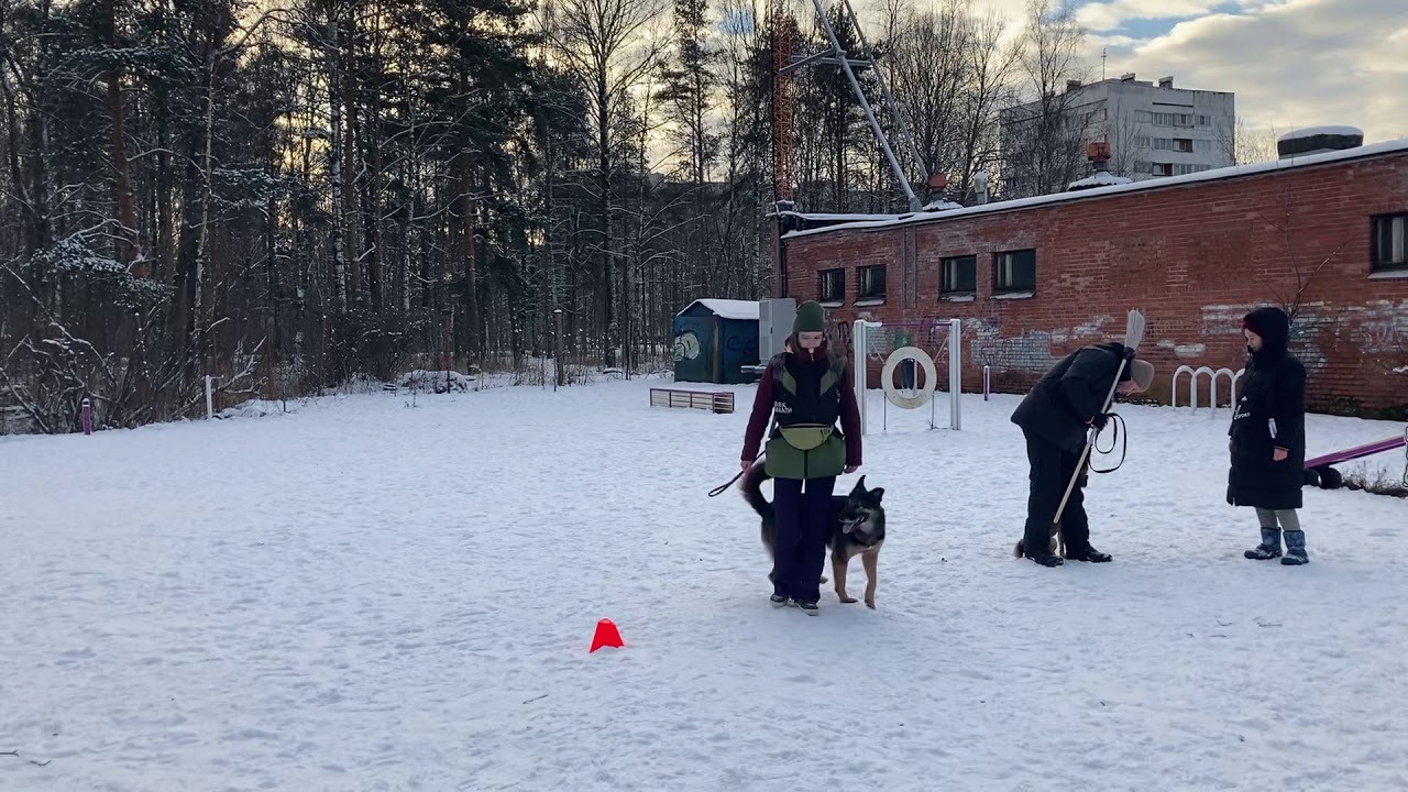 ������������