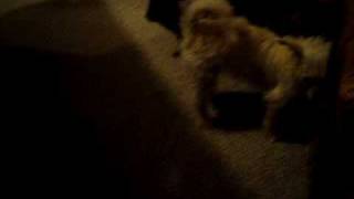 MOV00048.AVI