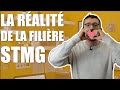 Coup de gueule  la ralit de la stmg