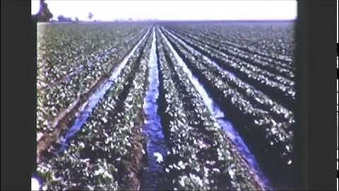 Pipeline to the Clouds - 1951