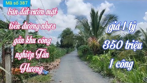 Bán đất vườn ở Tân Hương châu thành tiền Giang giá 1 tỷ 350 triệu 1000m2 mặt tiền đường nhựa @ms387