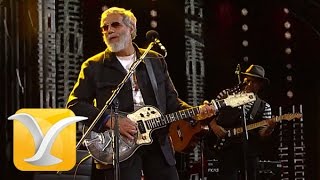 Yusuf Cat Stevens, You Are My Sunshine, Festival de Viña 2015 HD 1080p