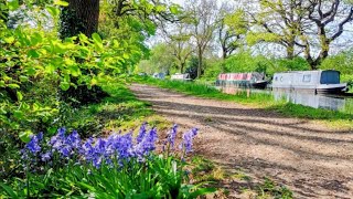Snaps from a short walk along the River Wey Navigation from Weybridge to Pyrford
