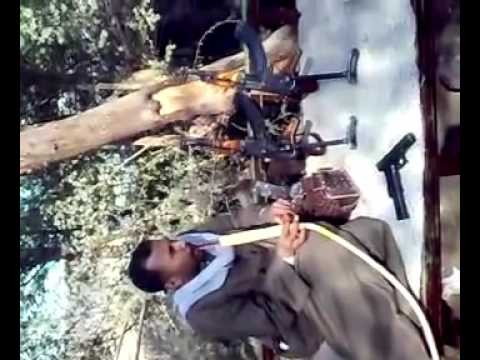 نشأت ابوعيضه 1