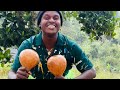 The Traditional Shakers Rhythms From Buganda Kingdom With Amagunjju Song The Traditional Shakers Rhythms From Buganda Kingdom With Amagunjju Song