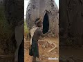 adivasi kon hote hai | adivasi fact video |