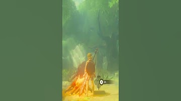Master Sword Glitch In Breath Of The Wild#shorts #botw #zelda #glitch