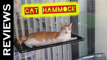 Cat Hammock Review