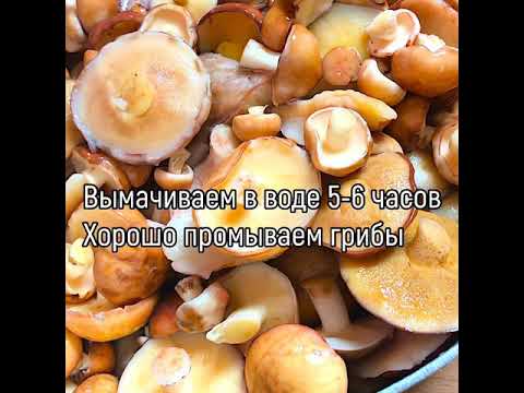 Маринованные грибы ( весенние маслята)