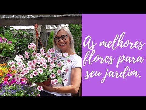 Vídeo: Boas plantas companheiras para íris - Aprenda quais flores plantar com íris