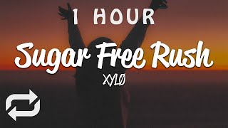 [1 HOUR 🕐 ] XYLØ - sugar free rush (Lyrics)
