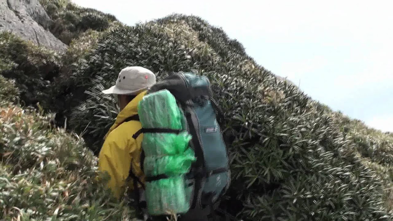U-Guru TV Yakushima Jomon Cedar and Miyanoura Mountain Climbing