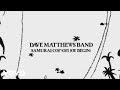 Dave Matthews Band - Samurai Cop (Oh Joy Begin) (Visualizer)