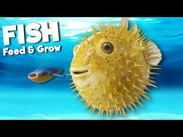 how to get fish feed and grow on xbox｜TikTok Search